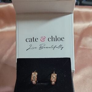 Cate & Chloe Rose Gold Earrings